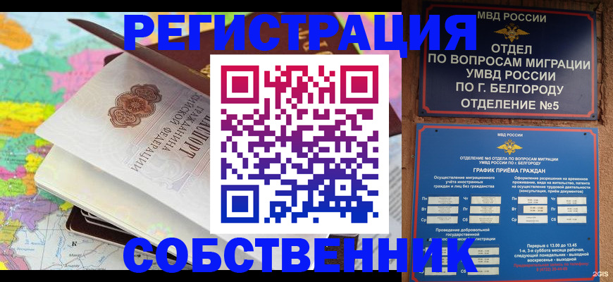 временная регистрация гарантия в Полярных Зорях